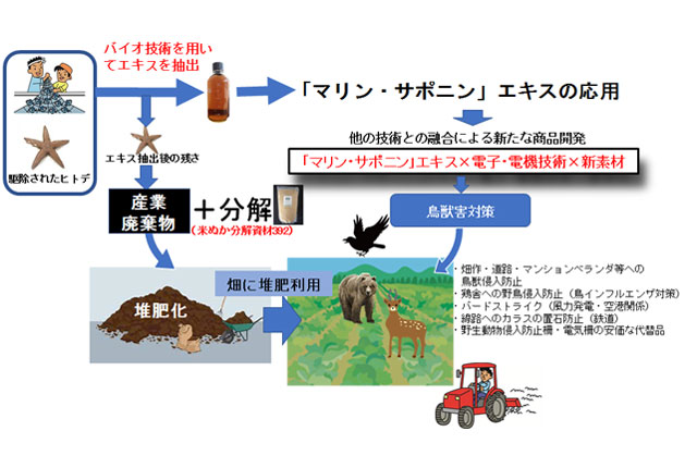 マリンサポニンの応用と循環